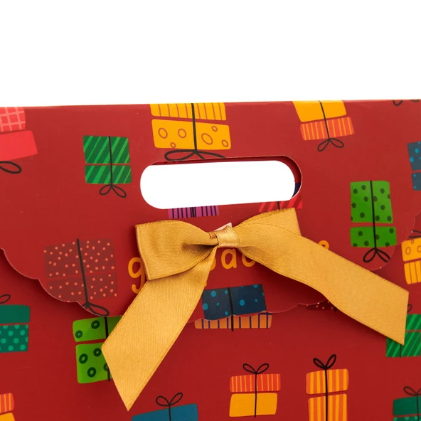 Fiyonklu Hediye Çantası - Kırmızı - 25x38 cm - Resim 3