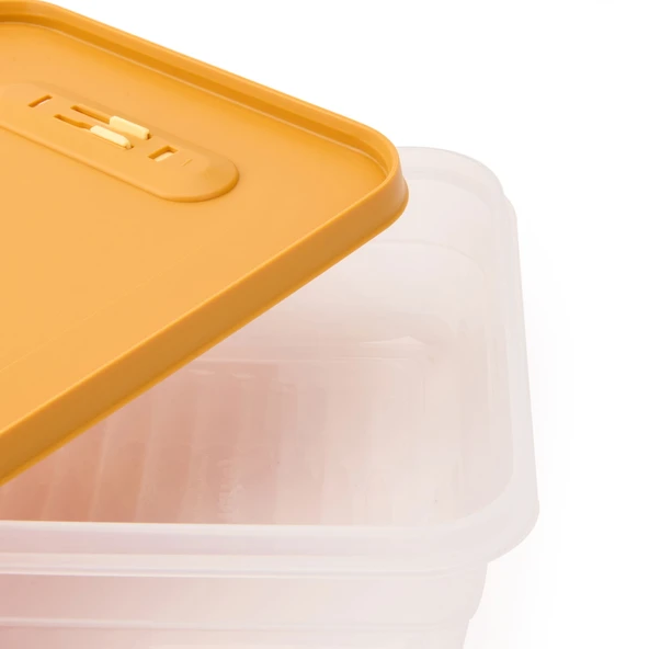 Royal Saklama Kabı - Asorti - 2,5 lt - 2