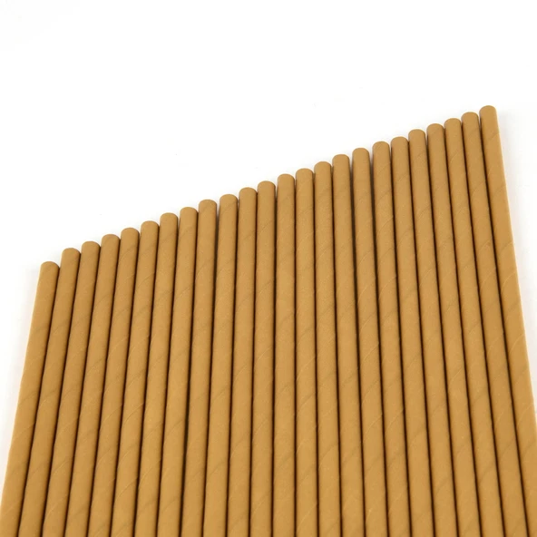 25'li Kağıt Pipet - Asorti - 20 cm - Resim 3