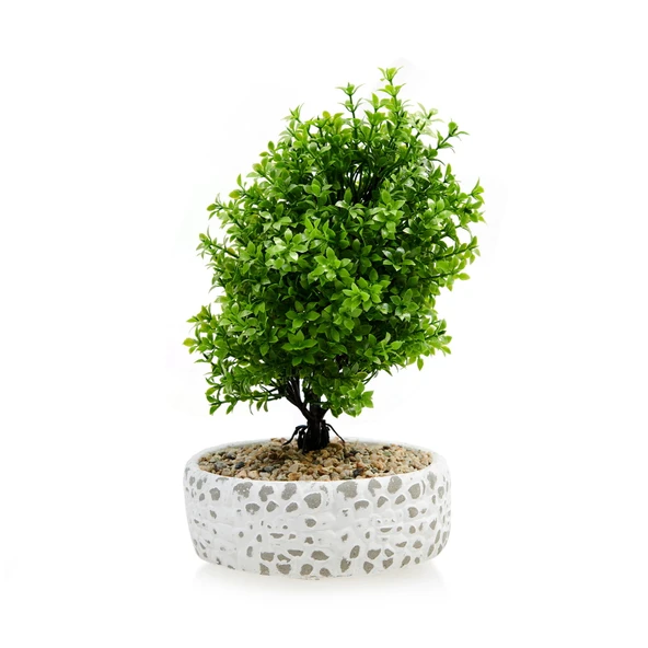 Dekoratif Çakıl Ağaç - Resim 3