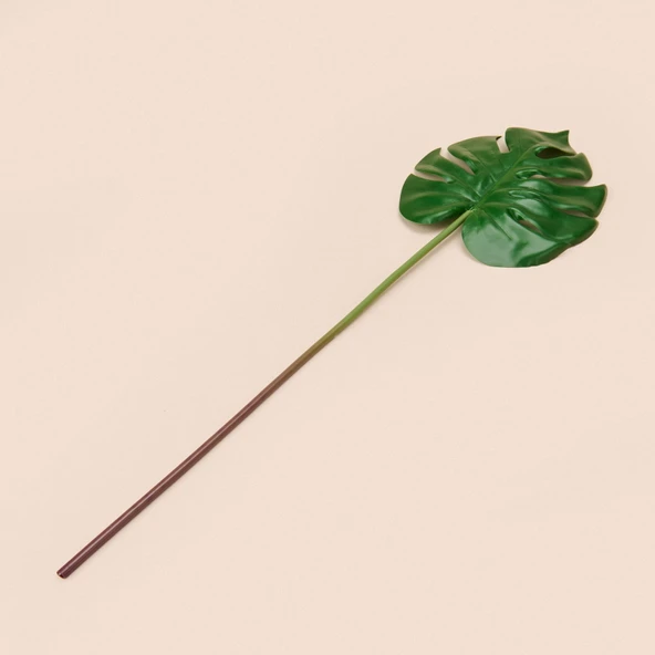 Deve Tabanı Dal Çiçek - Yeşil - 45 cm - Resim 2