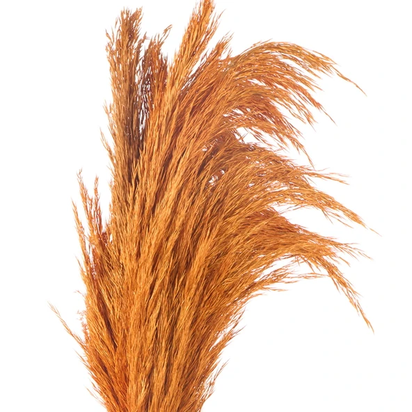 Deco Pampas Yapay Çiçek - Turuncu - 90x20 cm - Resim 3