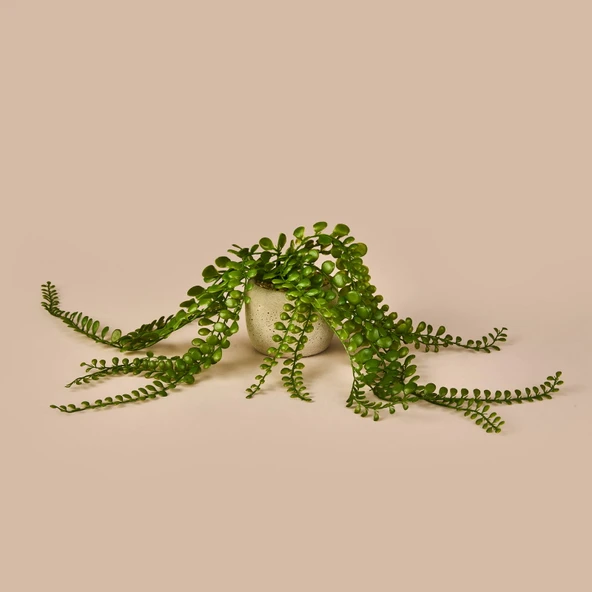 Sarkan Saksılı Yapay Çiçek - Gri / Yeşil - 13 cm - 1