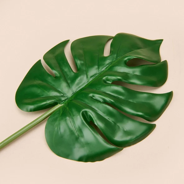 Deve Tabanı Dal Çiçek - Yeşil - 45 cm - Resim 3