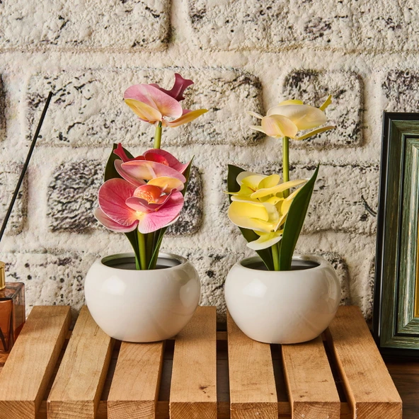 Saksıda Ledli Orkide - Asorti - 25x9 cm ürün görseli 1