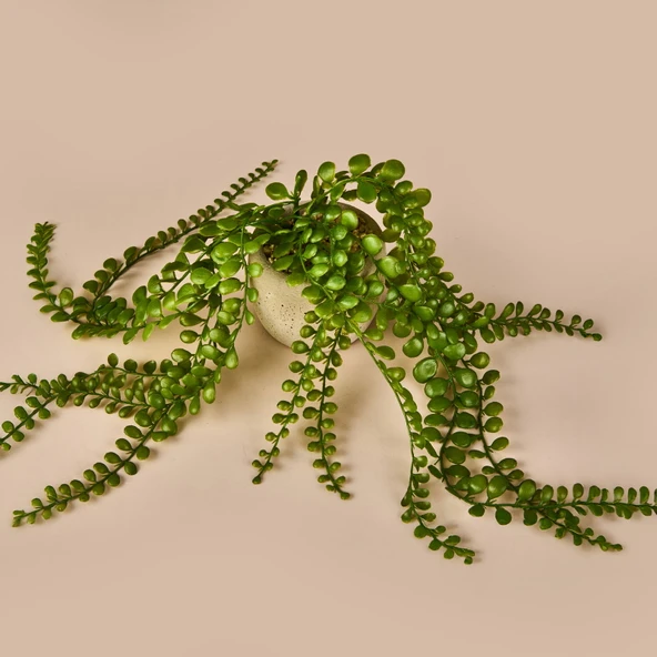 Sarkan Saksılı Yapay Çiçek - Gri / Yeşil - 13 cm - 2