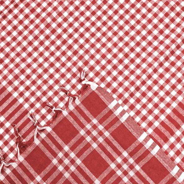 Soft Ekoseli Piknik Örtüsü - Kırmızı - 165x165 cm - Resim 3