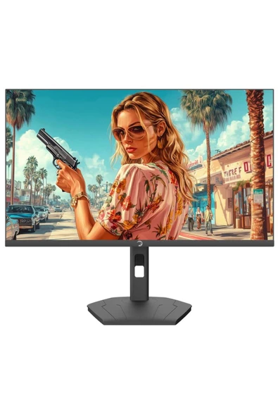 Gamepower Lunis L10 24" 1 ms Full HD Pivot IPS 165 Hz Oyuncu Monitörü - 2