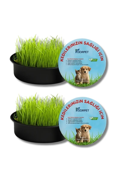 Organik Kedi Çimi Seti 2'li Sürpriz Mama Ödülü Hediyeli (FİLELİ) ürün görseli 1