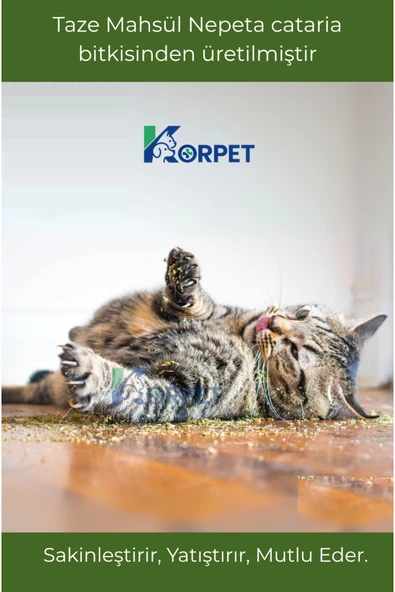 Doğal Orjinal Kedi Nanesi Catnip Kurutulmuş Taze Mahsül 20 gr - Resim 2