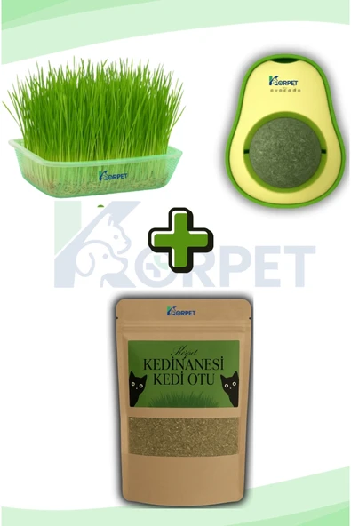 Doğal 3’lü Kedi Keyif Seti | Kedi Çimi + Catnip + Avokado | Orjinal 3'lü DOLU DOLU set ürün görseli 1