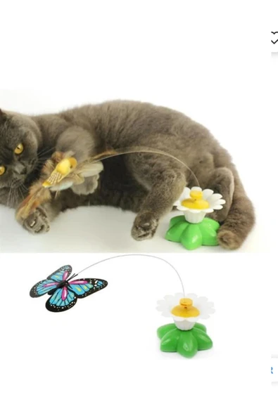 Hareketli Dönen Kelebek - Kedi Oyuncağı ( Pille Çalışır) - 2