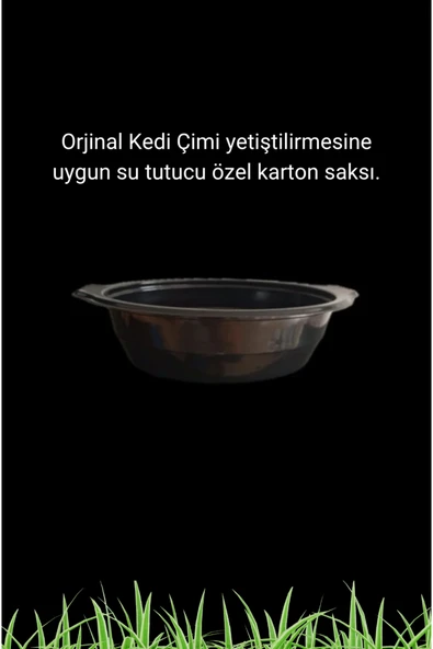 Organik Kedi Çimi Seti (FİLELİ) 2 Adet ve Üzeri alımlarda Sürpriz Mama Hediyeli - Resim 3