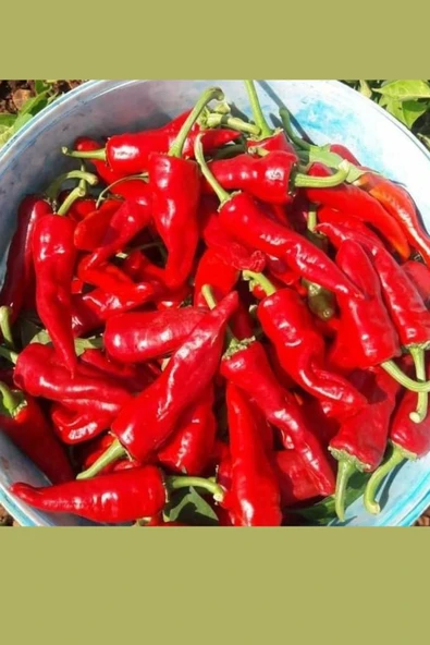 Ev Yapımı Gaziantep Acı + Tatlı Karışık Biber Salçası – %100 Doğal, Güneşte Kurutulmuş El Yapımı Salça, 1 Kg - Resim 3