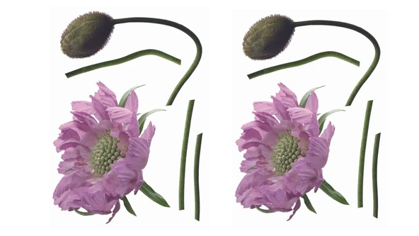 2 ADET DEFTER STİCKER,LAPTOP STİCKER MOR ÇİÇEKLİ PVC 70X50X0,5CM - 2