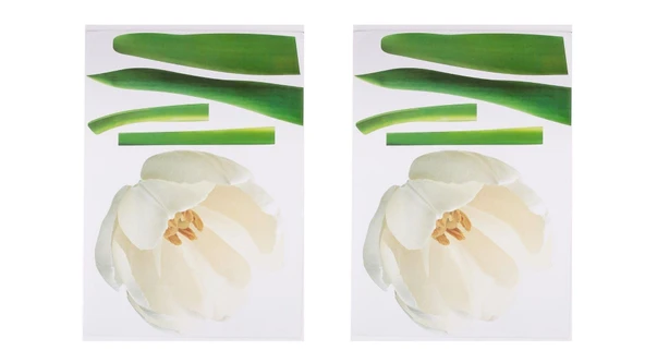 2 ADET DEFTER STİCKER,LAPTOP STİCKER ÇİÇEKLİ PVC 70X50X0,5CM - 2