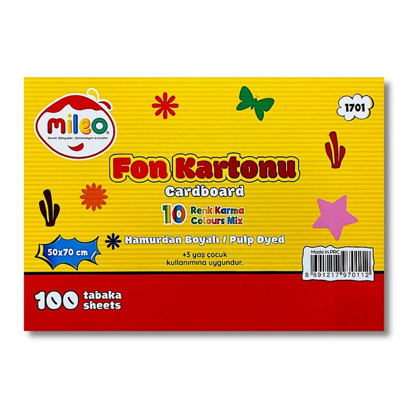 Mileo 50x70 160 gr Karışık Hamurdan Fon Kartonu 100 lü (1701) ürün görseli