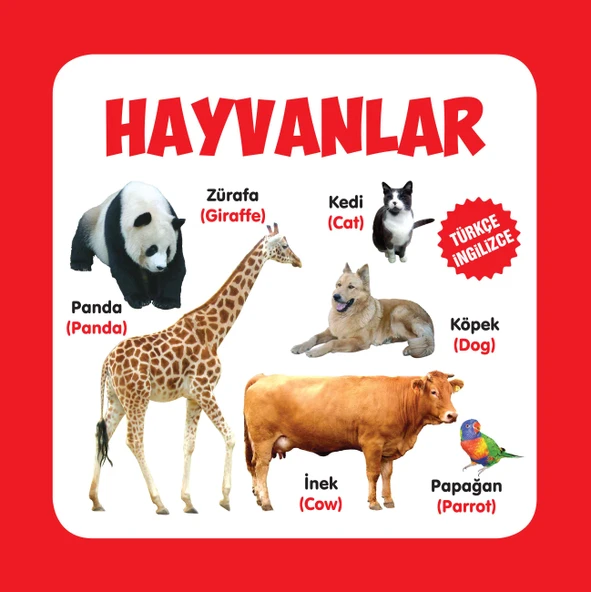 Hayvanlar Türkçe-İngilizce ürün görseli