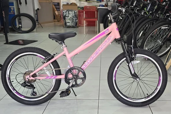 Salcano Lily 20 V Fren 6 Vites 20 Jant Kız Çocuk Bisikleti Pudra Pembe Mor ürün görseli