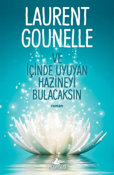Ve İçinde Uyuyan Hazineyi Bulacaksın ürün görseli