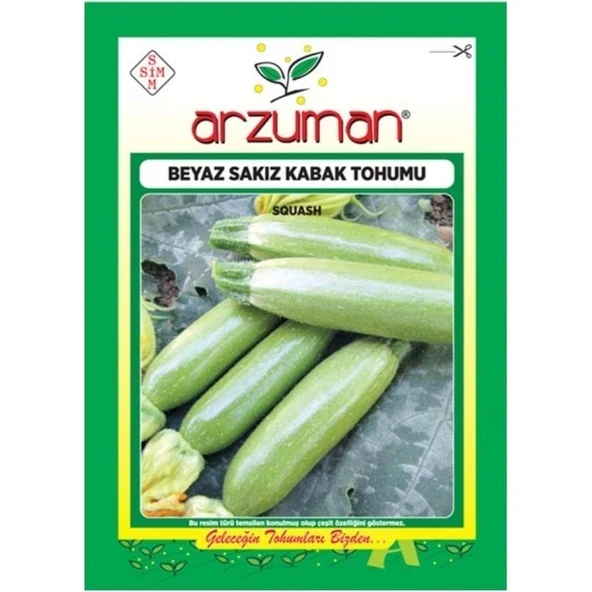 Arzuman Beyaz Sakız Kabak Tohumu ürün görseli