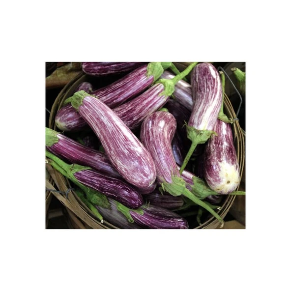 Arzuman Çizgili Alaca Patlıcan 5 Gram ürün görseli