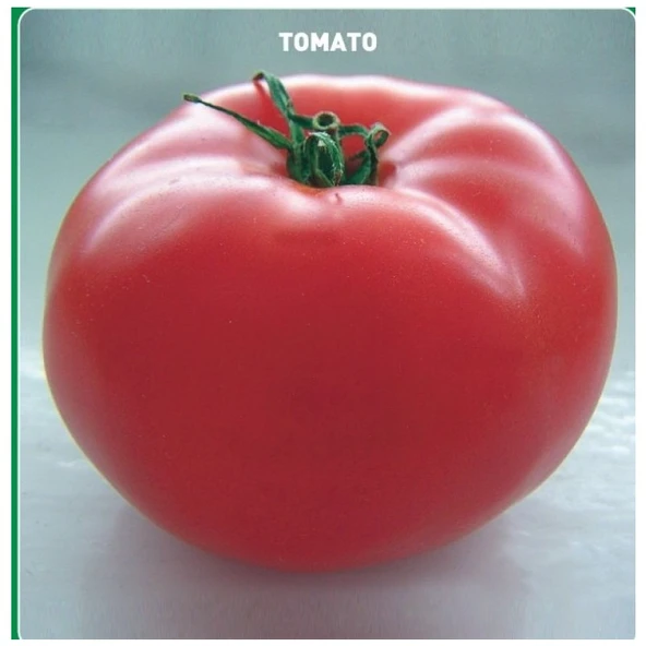 Mevsim Fidancılık Peyzaj Arzuman Oturak Hibrit Domates Tohumu ( 10 Adet Tohum) ürün görseli