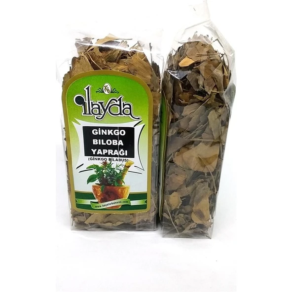Ilayda Ginkgo Biloba Mabet Ağacı Yaprağı (Ginkgo Bilobus) - 1