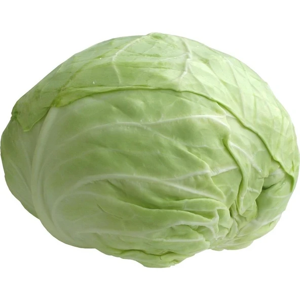 Arzuman Beyaz Lahana 10 Gram ürün görseli