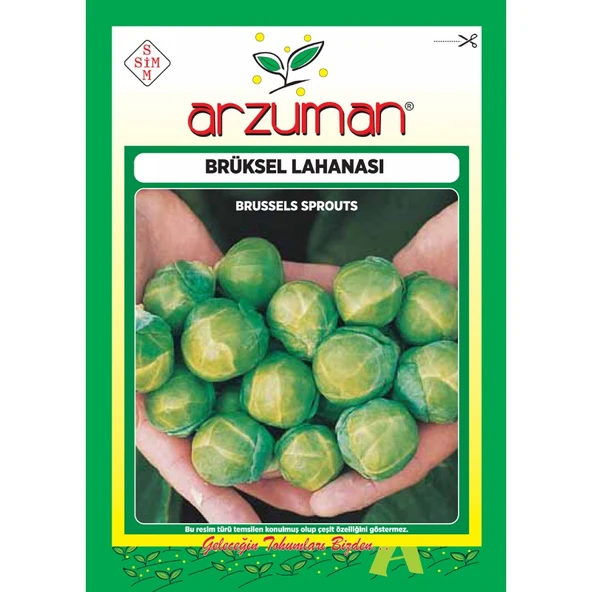 Arzuman Brüksel Lahana Tohumu 200 Adet ürün görseli