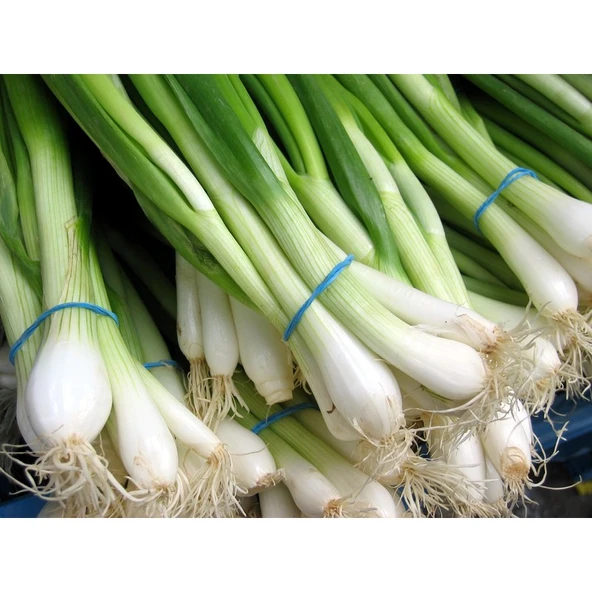 Arzuman Yeşil Soğan 10 Gram ürün görseli