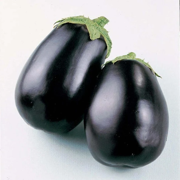 Arzuman Topan Patlıcan 10 Gram ürün görseli