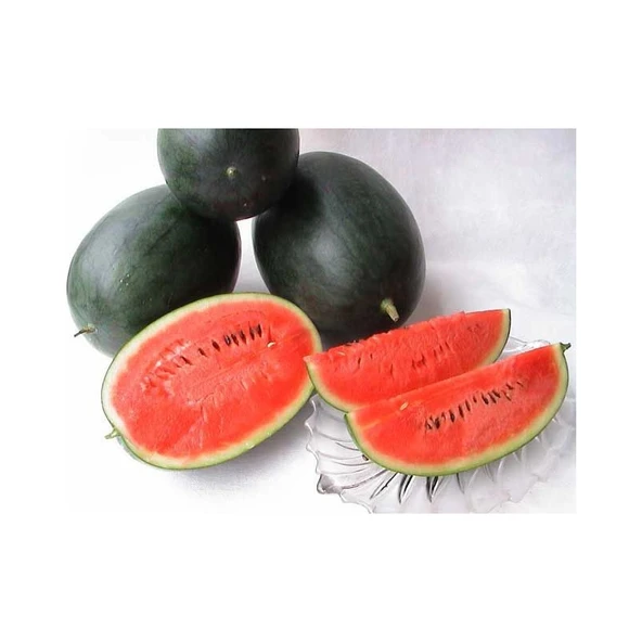 Arzuman Siyah Karpuz 10 Gram ürün görseli