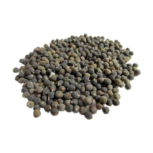 Atasagun Şifa Bamya Tohumu  250 gr ürün görseli