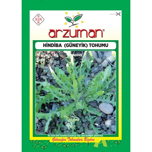 Arzuman Hindiba ( Güneyik) Tohumu( 5 gr Tohum) ürün görseli