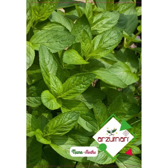 Arzuman Nane 100'lü ürün görseli