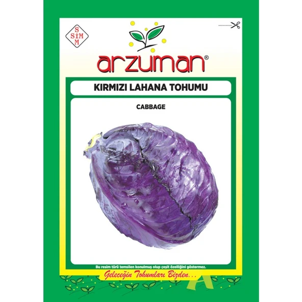 Arzuman Sebze Kırmızı Lahana Mor Tohum 10 gr ürün görseli