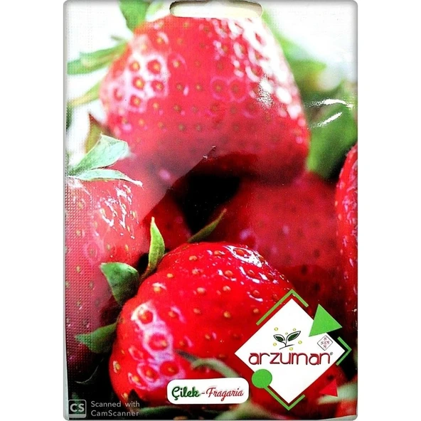 Arzuman Çilek Tohumu (100 Adet) - 1