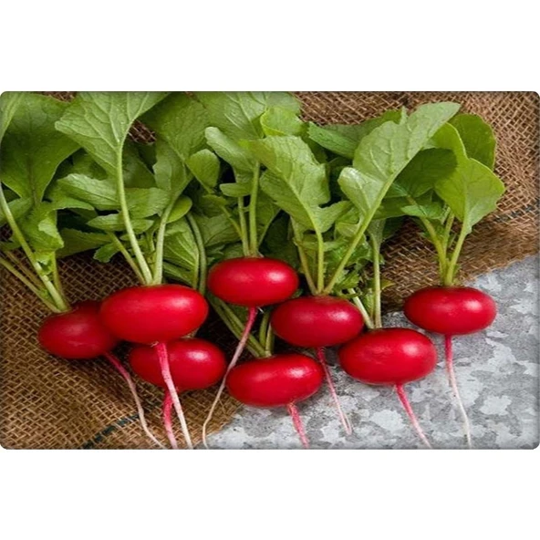 Arzuman Fındık Turp Tohumu (10 Gr) ürün görseli