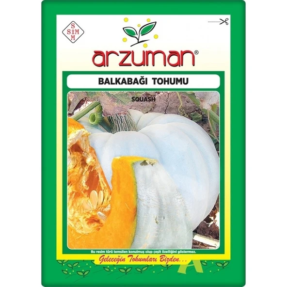 Arzuman Balkabağı Tohumu Arıcan 97 (10 gr) En Iyi Çeşit - 1