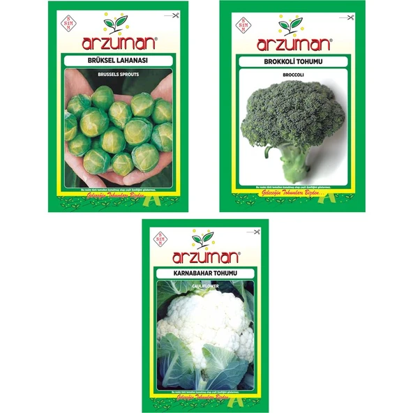 Arzuman Brüksel Lahanası Brokkoli Karnabahar Tohumu ürün görseli