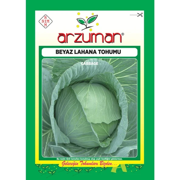 Arzuman Sebze Beyaz Lahana Tohum Yalova1 10 gr ürün görseli