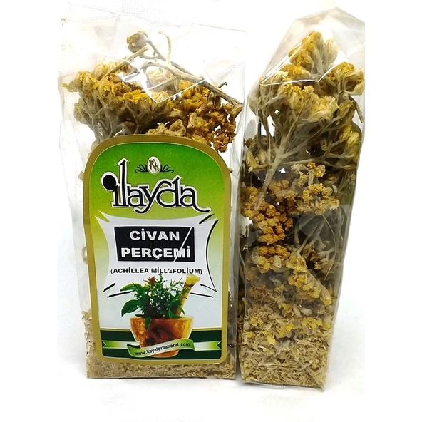 Ilayda Civan Perçemi ürün görseli