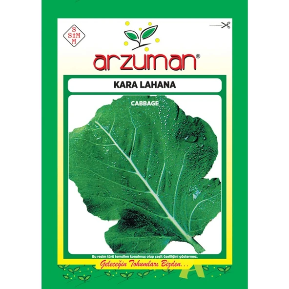 Arzuman Sebze Kara Lahana Tohum Karadeniz 10 gr - 1