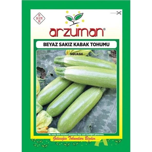 Arzuman Beyaz Sakız Kabak 10 gr - 1