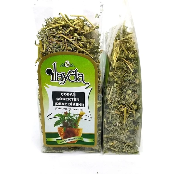 Ilayda Çoban Çökerten (Tribulus Terrestris) ürün görseli