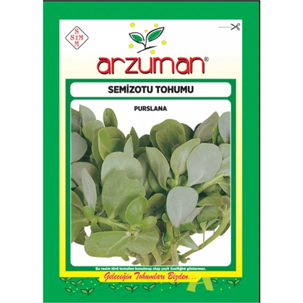 Arzuman Semizotu Iri Yapraklı 10 gr ürün görseli
