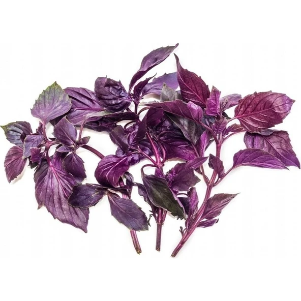 Arzuman Mor Fesleğen (Reyhan) Tohumu 100 Adet ürün görseli