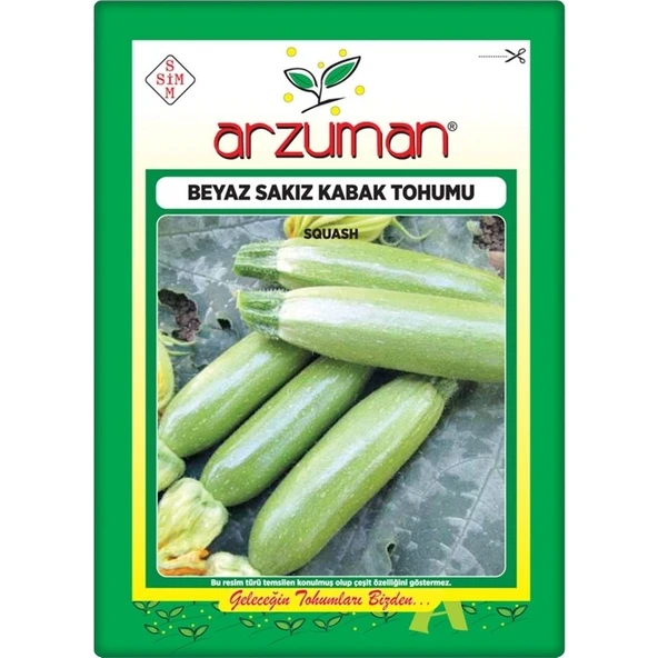 Arzuman Kabak Tohumu Beyaz Sakız Kabak (10 gr) ürün görseli