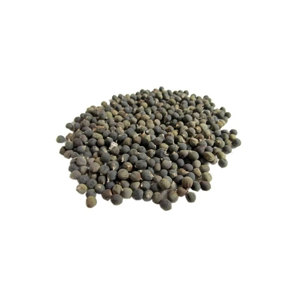 Lokman Aktar   Bamya Tohumu 100 gr ürün görseli